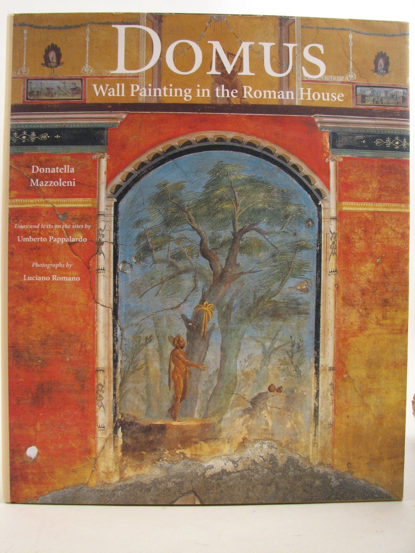 Domus: Wall Painting in the Roman House book cover