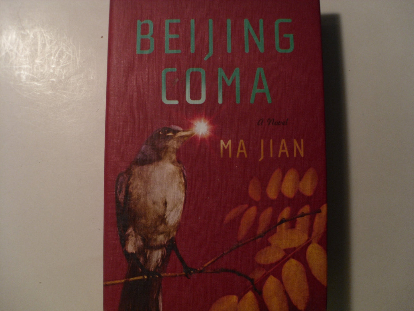 Beijing Coma