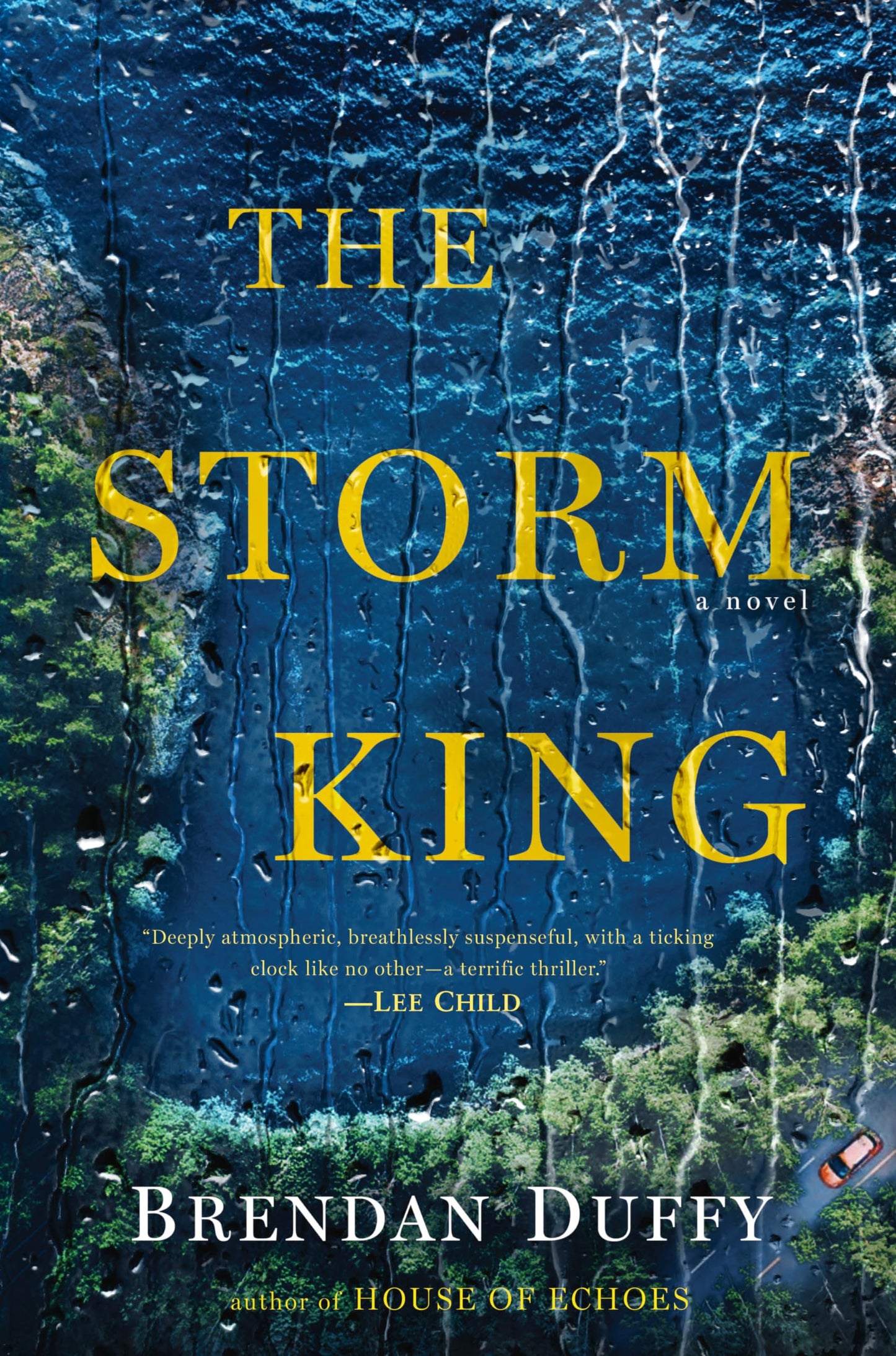 Storm King book cover