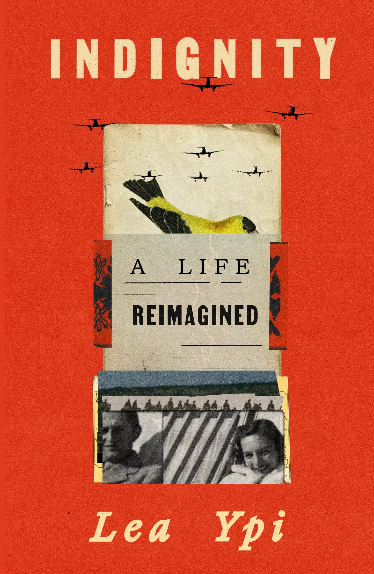 Indignity: A Life Reimagined book cover