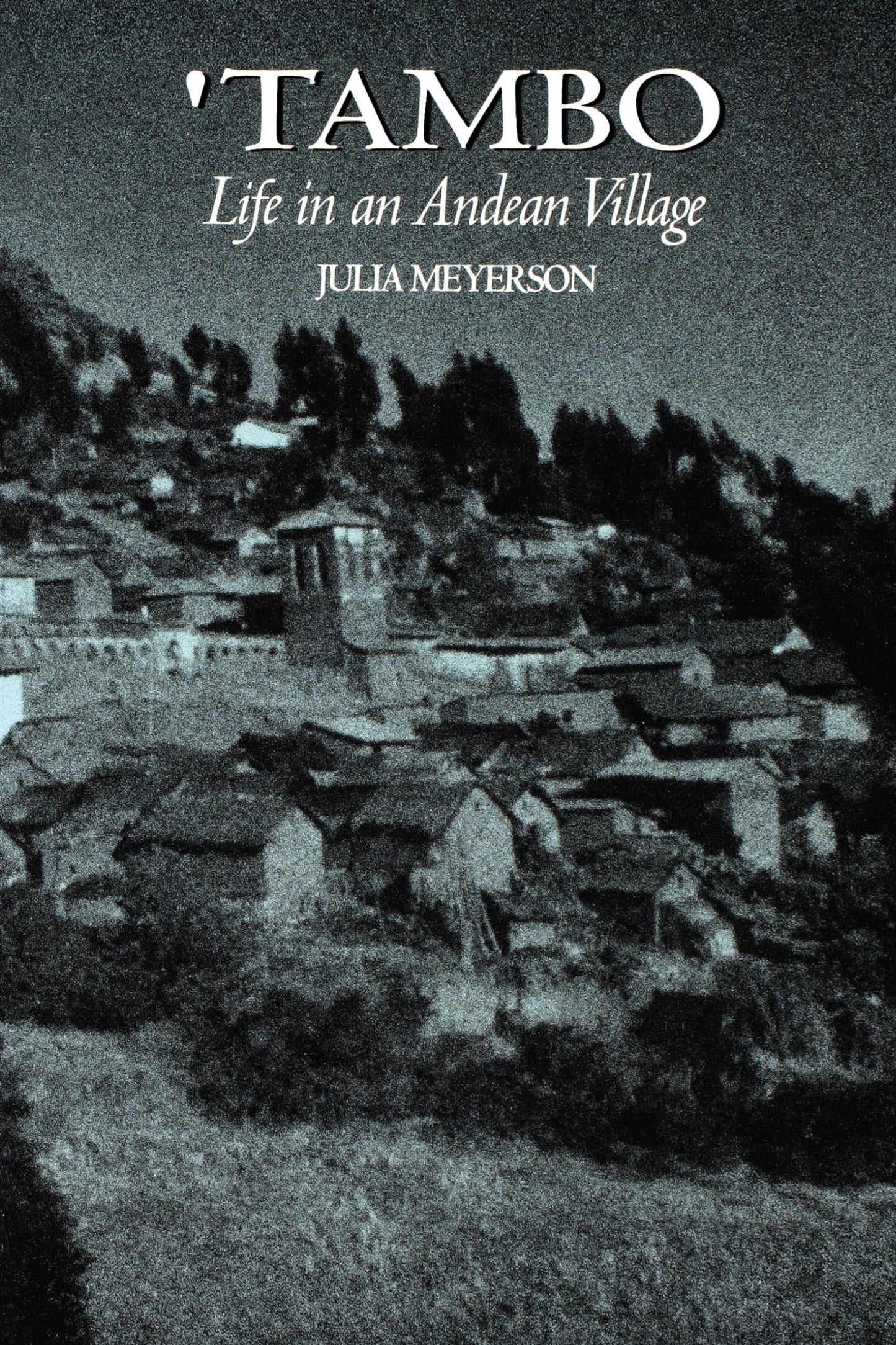 Tambo: Life in an Andean Village book cover