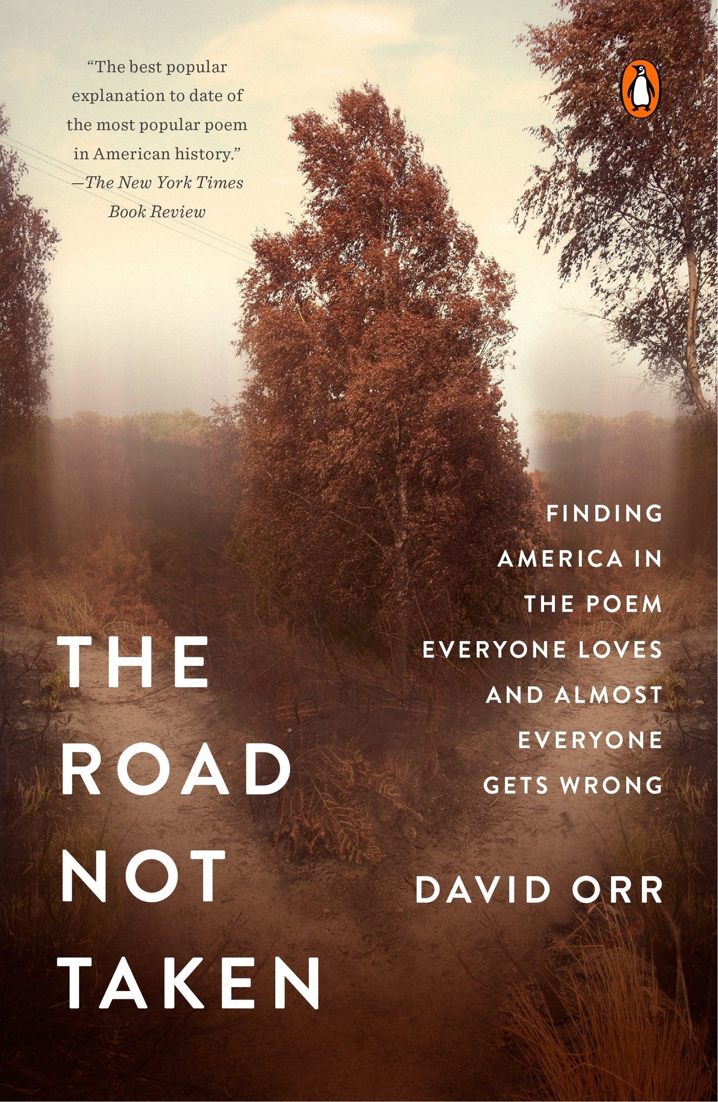 Road Not Taken: Finding America in the Poem Everyone Loves and Almost Everyone Gets Wrong book cover