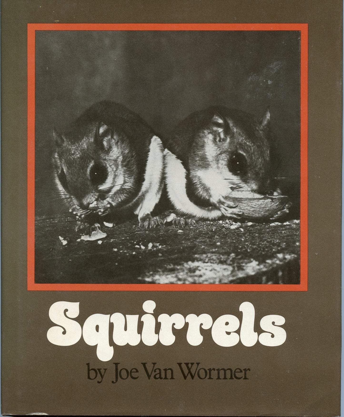 Squirrels book cover