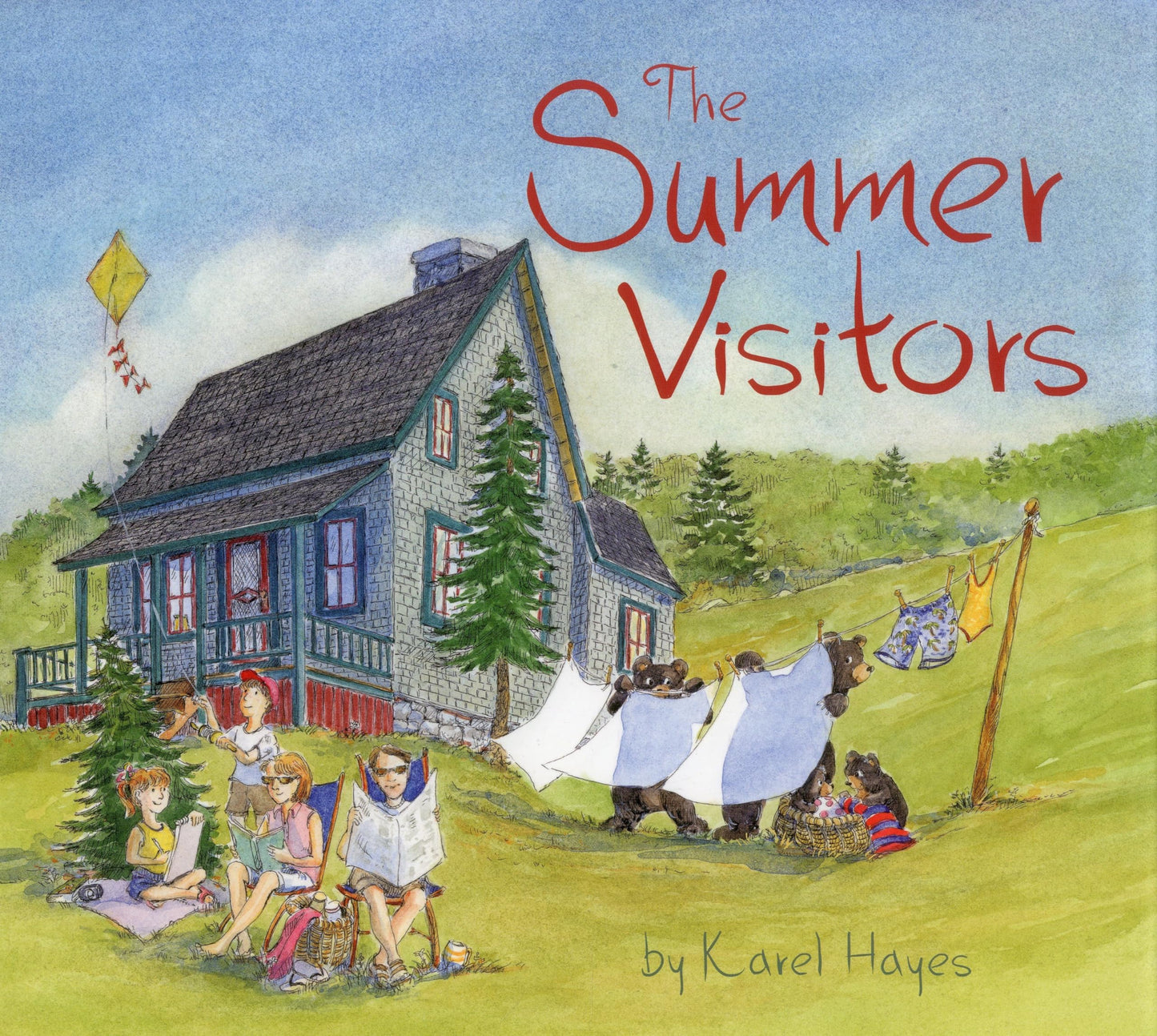 Summer Visitors book cover