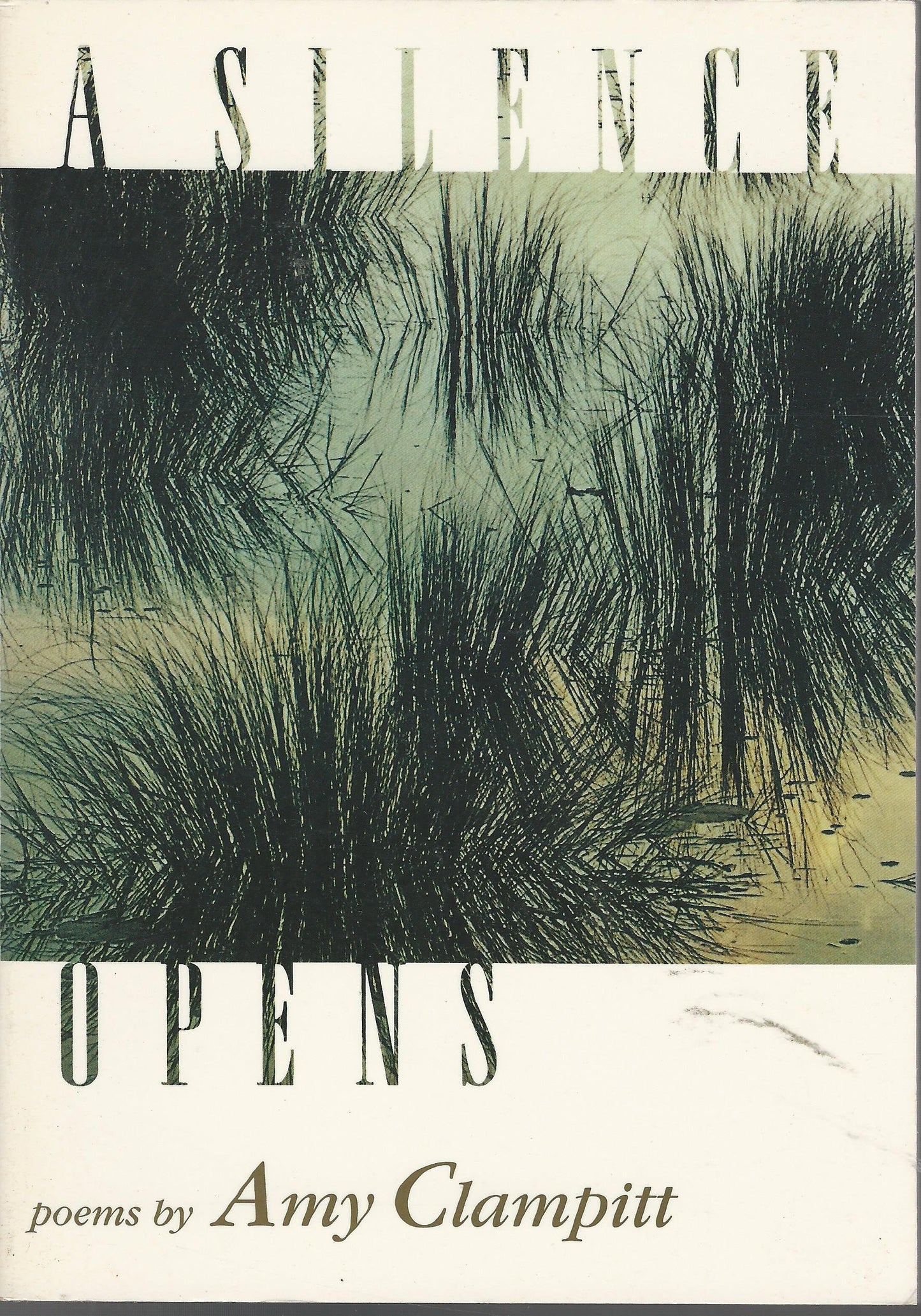 A Silence Opens: Poems