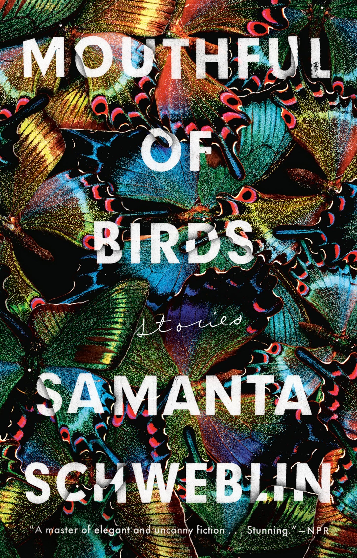 Mouthful of Birds book cover