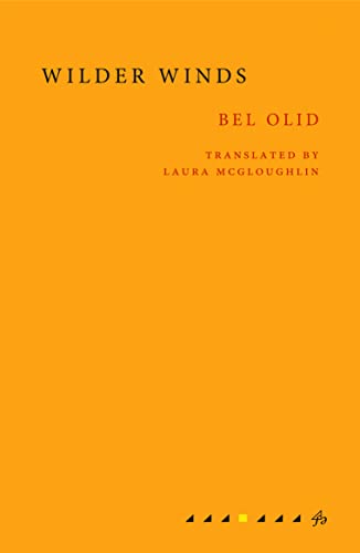 Wilder Winds book cover