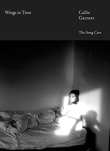 Wings in Time book cover