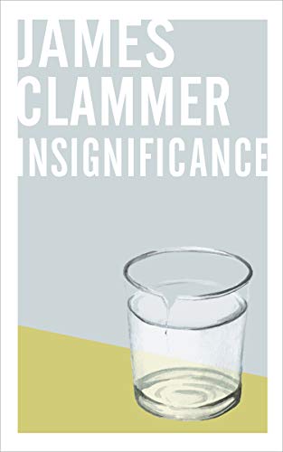 Insignificance book cover