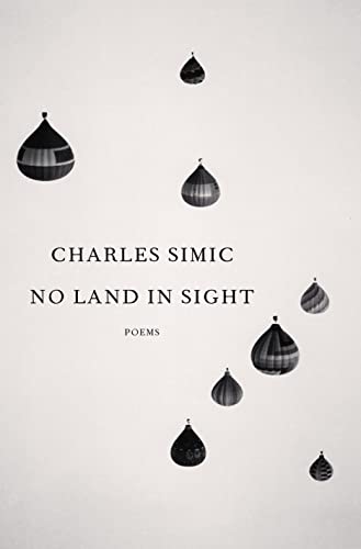 No Land in Sight: Poems book cover