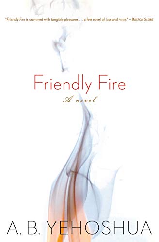 Friendly Fire: A Duet book cover