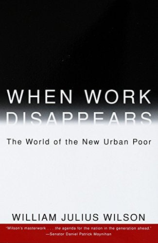 When Work Disappears: The World of the New Urban Poor book cover