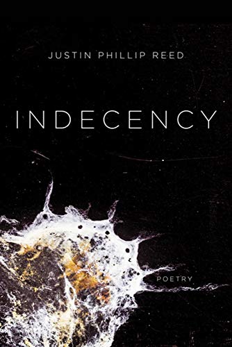 Indecency book cover