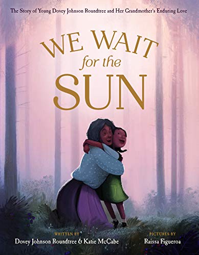We Wait for the Sun book cover