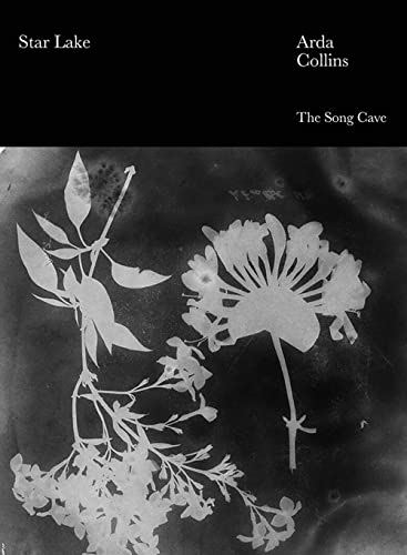 Star Lake book cover