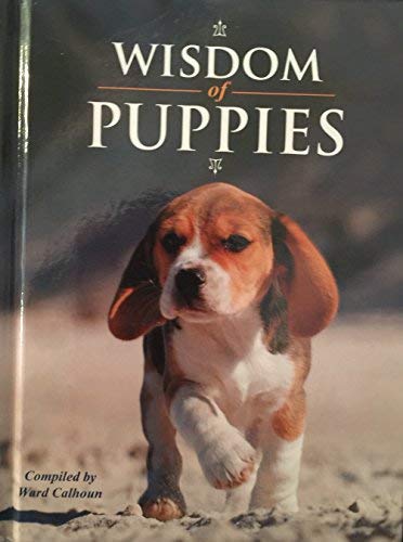 Wisdom of Puppies