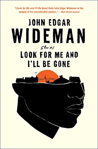 Look for Me and I'll Be Gone: Stories book cover