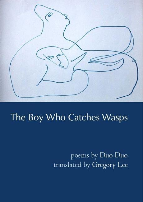 The Boy Who Catches Wasps book cover
