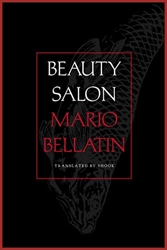 Beauty Salon book cover