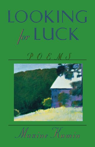 Looking for Luck book cover
