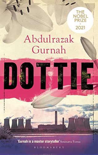 Dottie: By the Winner of the Nobel Prize in Literature 2021 book cover