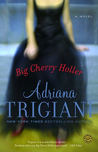 Big Cherry Holler book cover