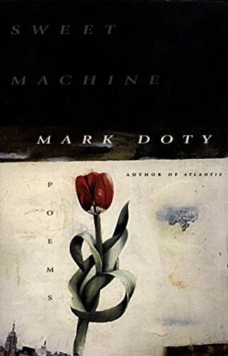 Sweet Machine book cover