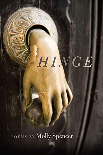 Hinge book cover