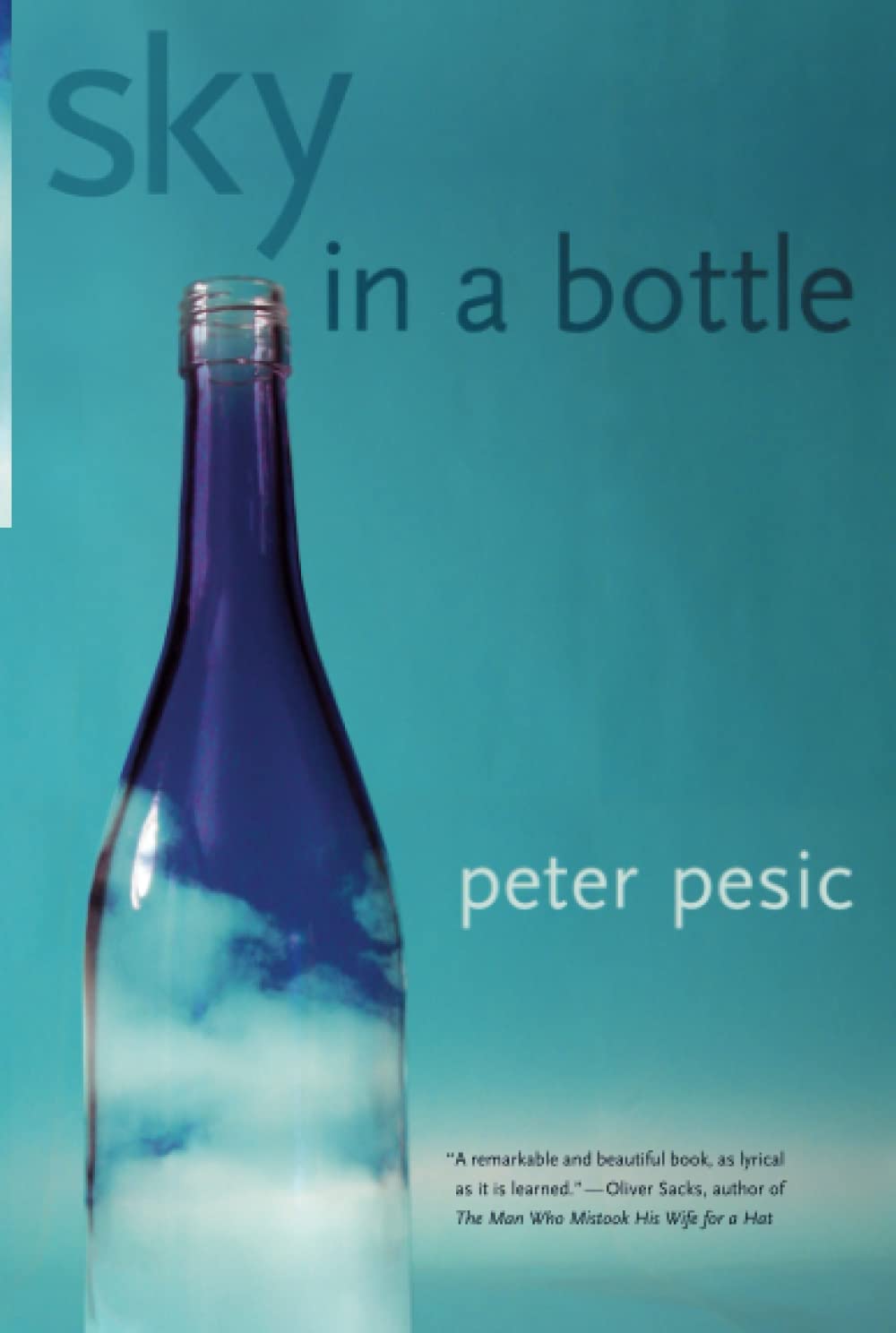 Sky in a Bottle (The MIT Press)