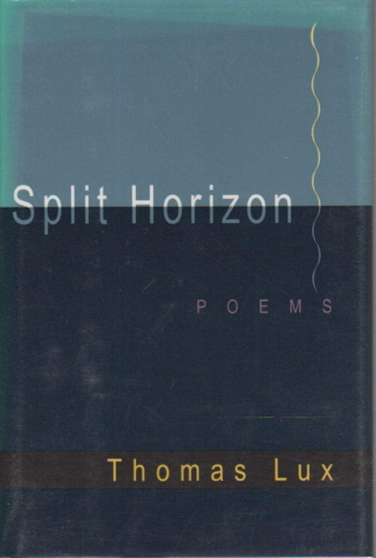 Split Horizon book cover
