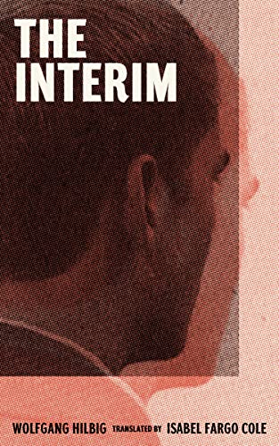 Interim book cover
