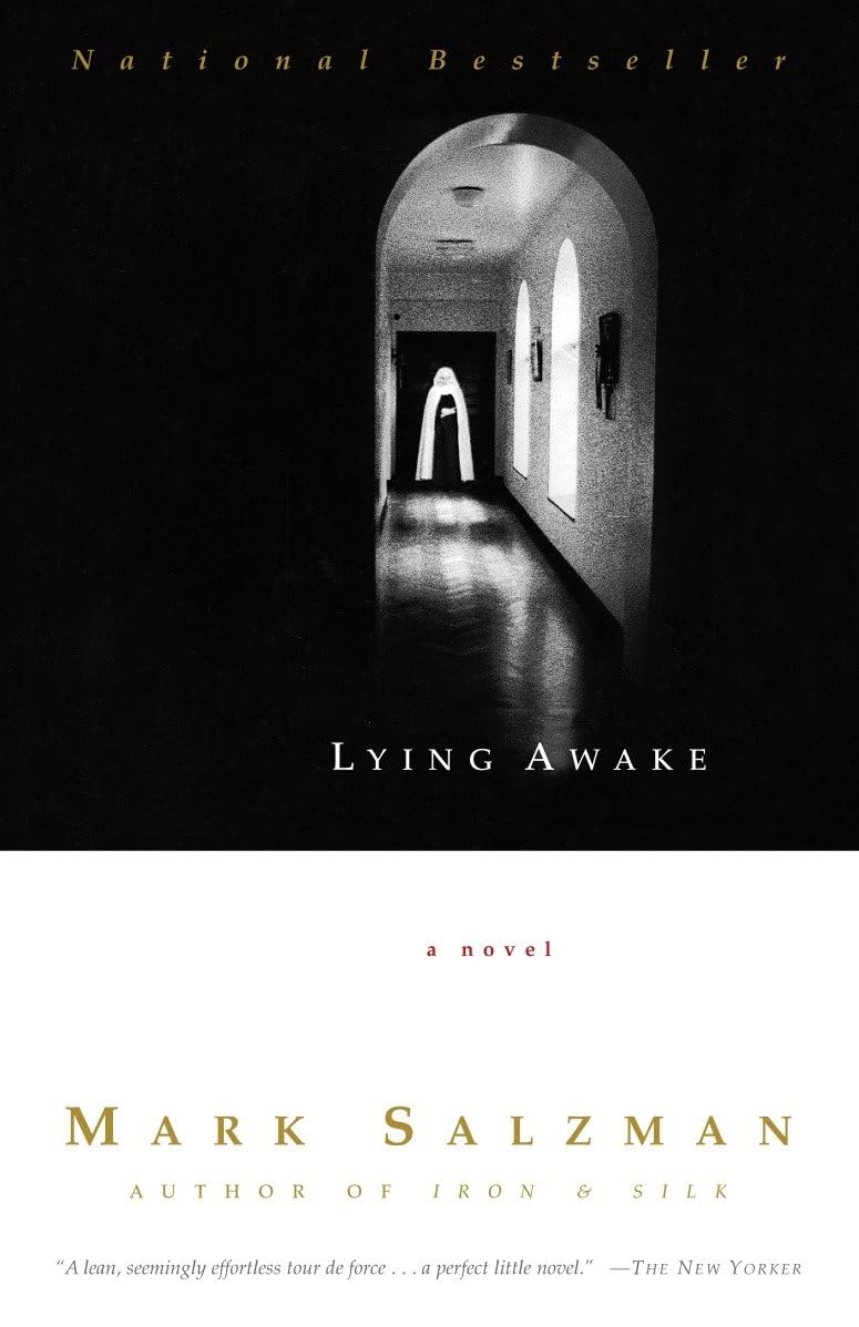 Lying Awake book cover