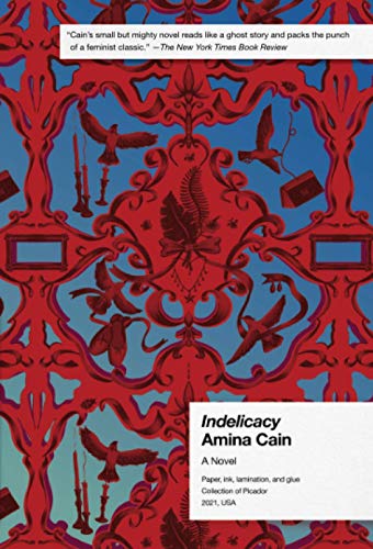 Indelicacy book cover