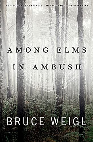 Among Elms, in Ambush book cover