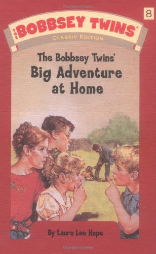 Bobbsey Twins' Big Adventure at Home book cover