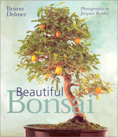 Beautiful Bonsai book cover