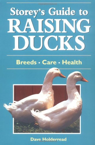 Raising Ducks book cover