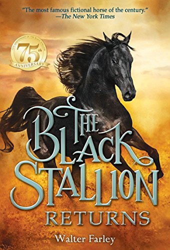 Black Stallion Returns book cover