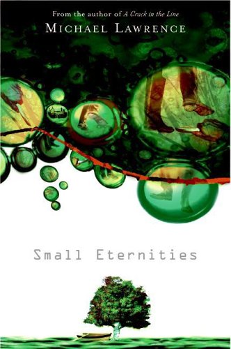 Small Eternities book cover