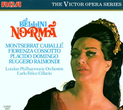 Norma book cover