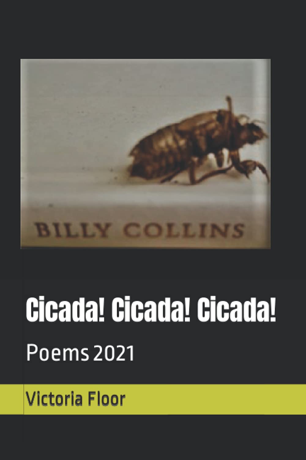 Cicada! Cicada! Cicada!: Poems 2021 book cover