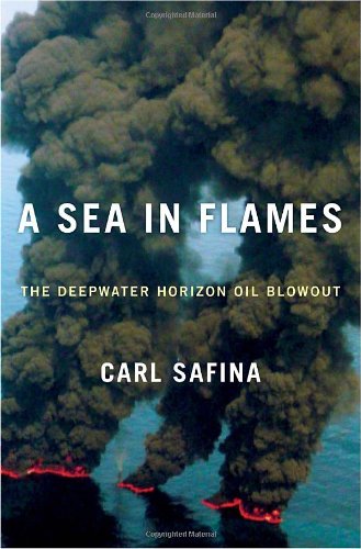 Sea in Flames: The Deepwater Horizon Oil Blowout book cover