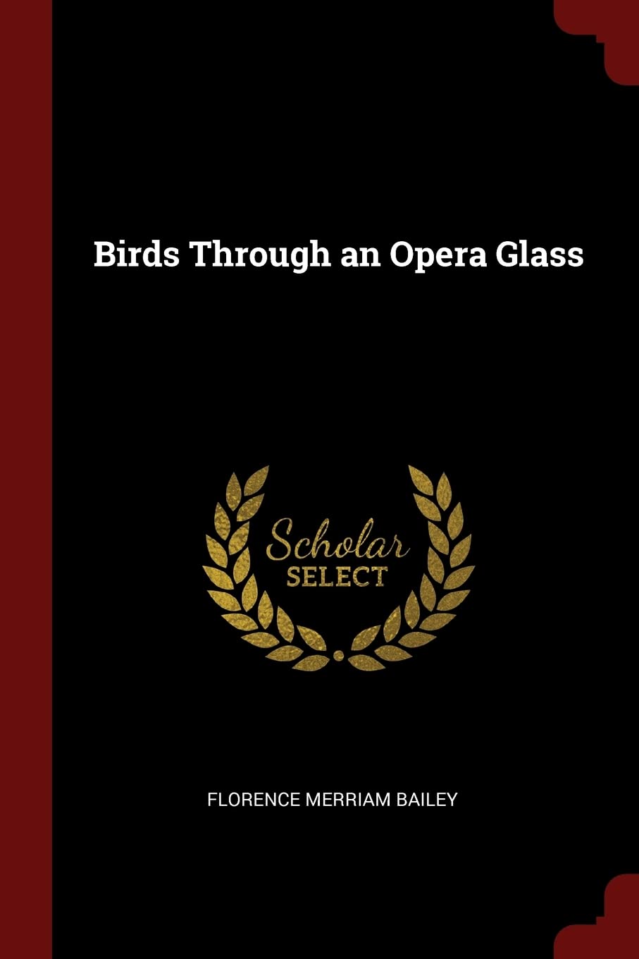 Birds Through an Opera Glass book cover