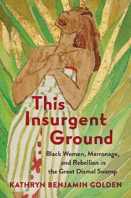 This Insurgent Ground: Black Women, Marronage, and Rebellion in the Great Dismal Swamp book cover