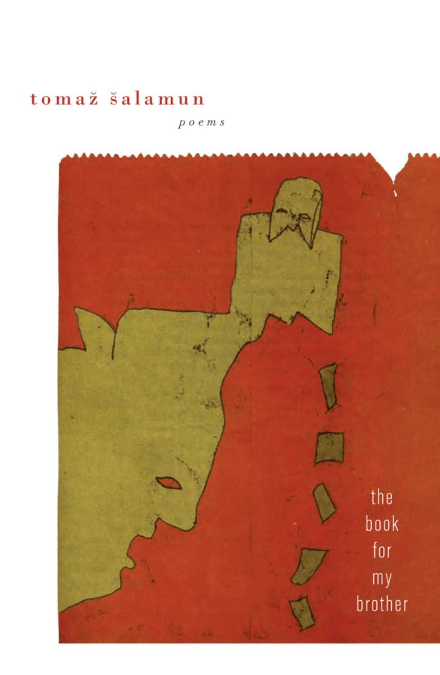 Book for My Brother book cover