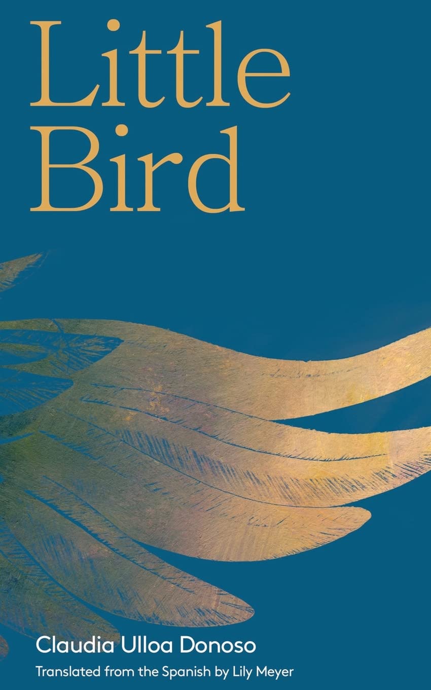 Little Bird book cover