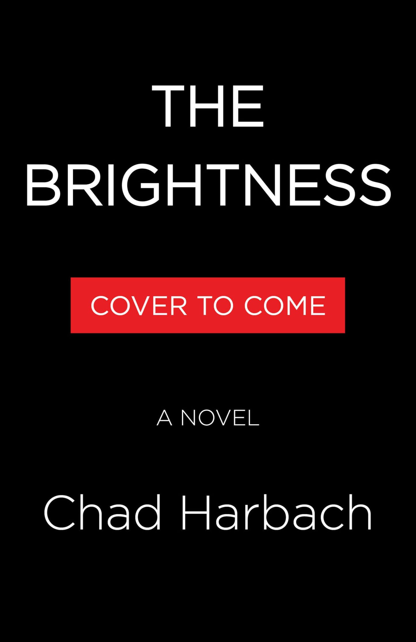 The Brightness book cover