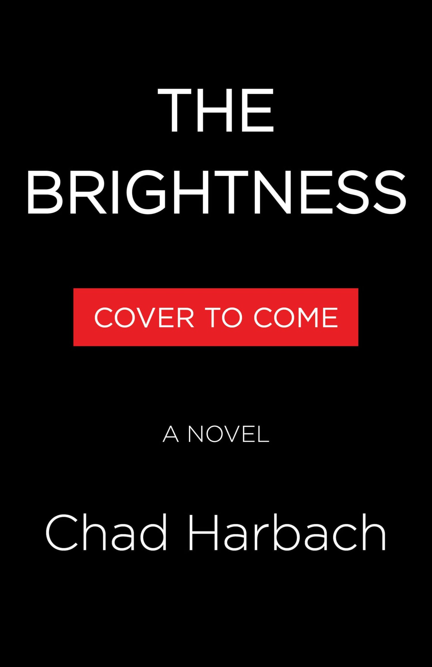 The Brightness book cover
