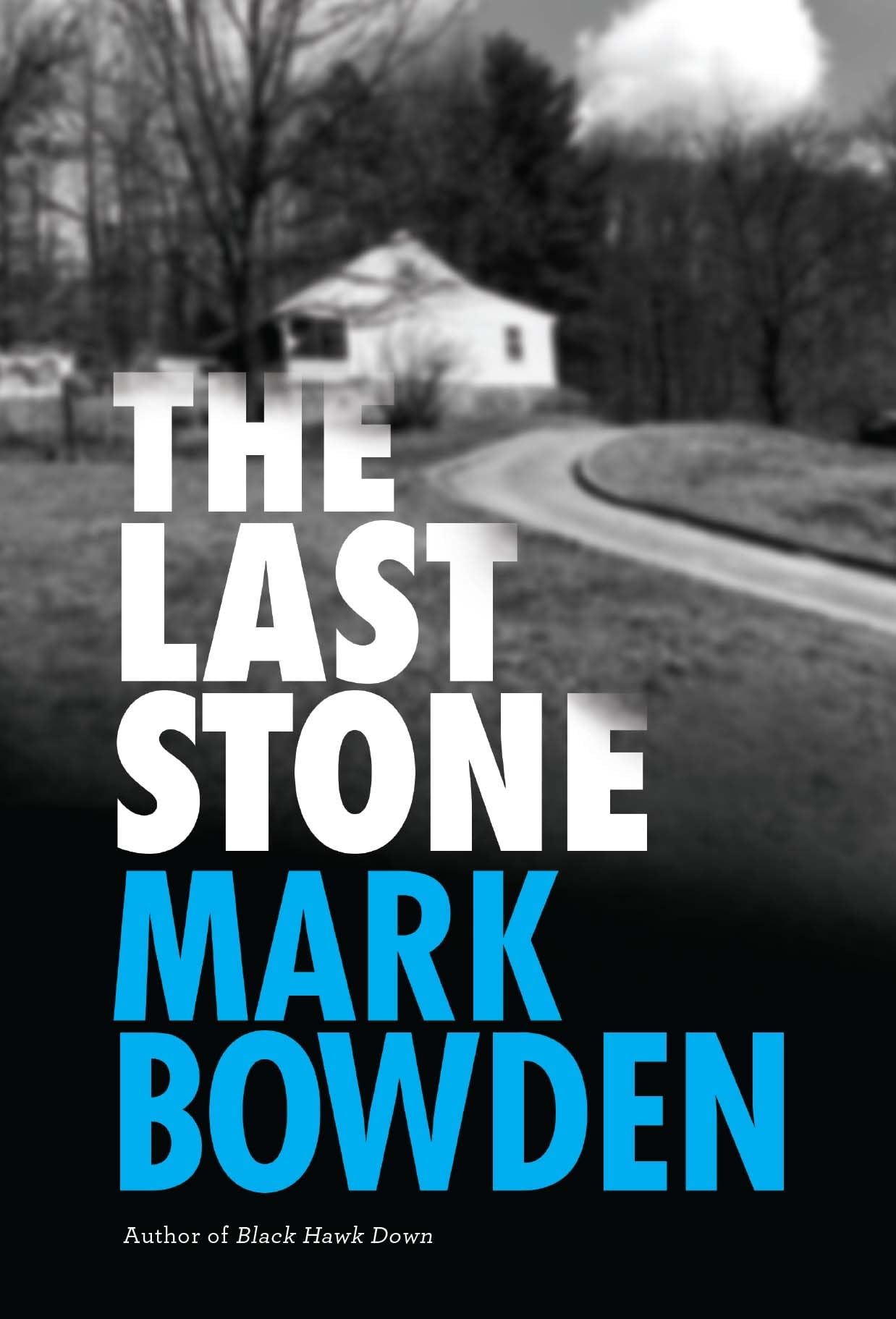 Last Stone: A Masterpiece of Criminal Interrogation book cover