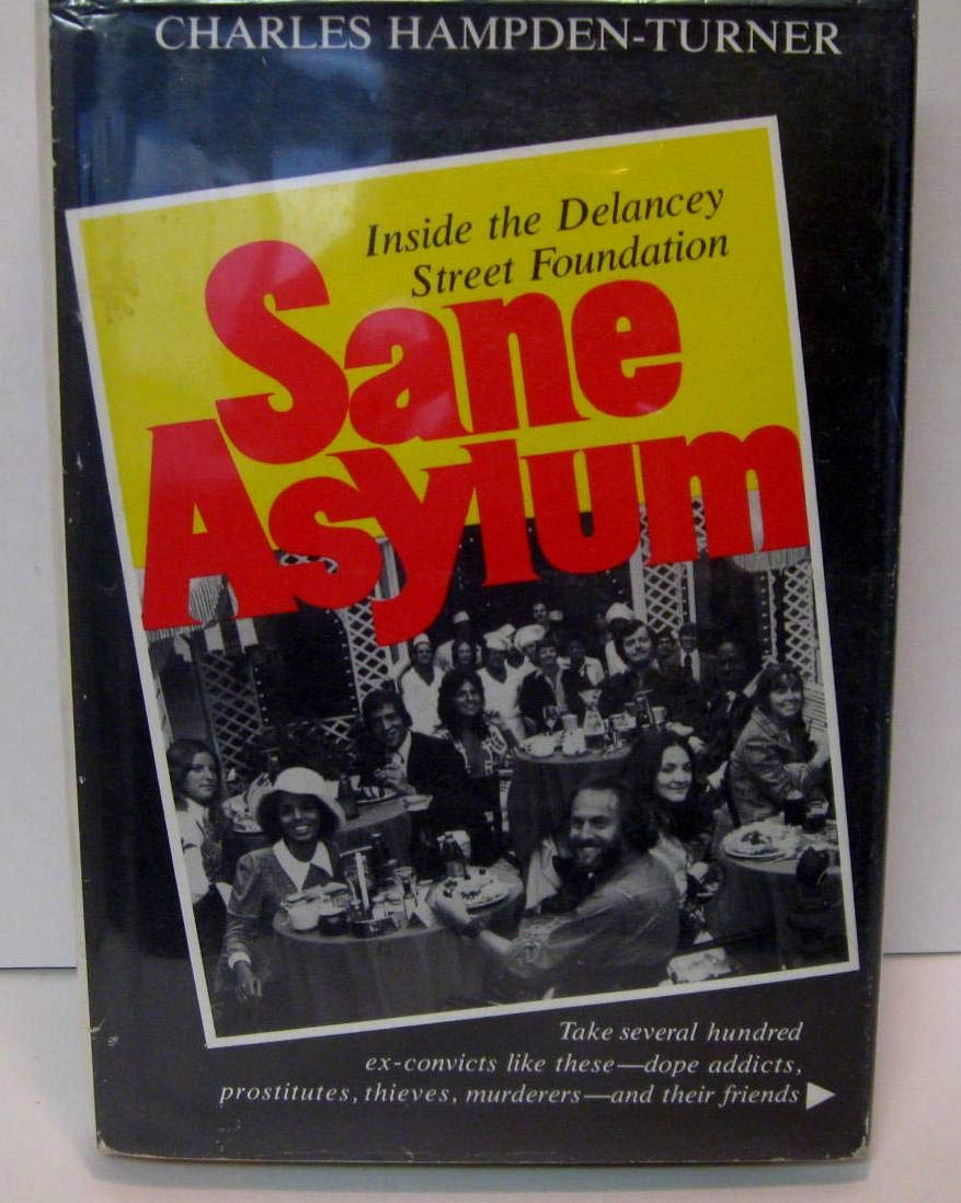 Sane asylum book cover